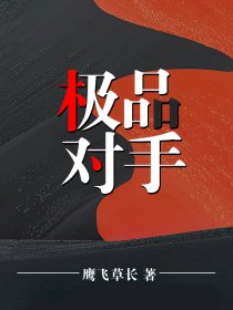 极品对手